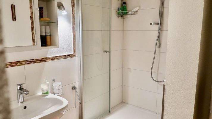 neues Bad mit Dusche UG