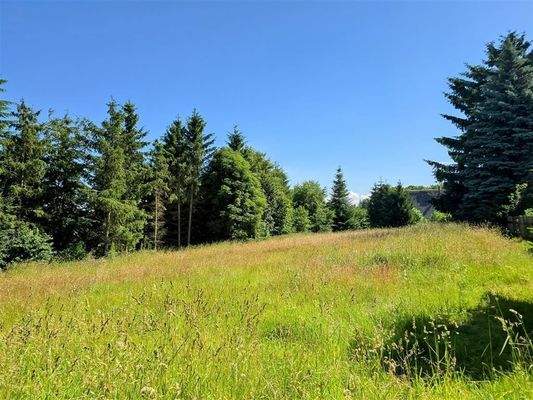 Grundstück 5000 m²