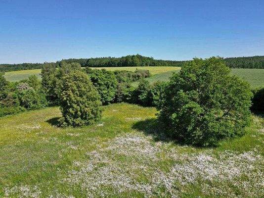 mögliche Weideflächen