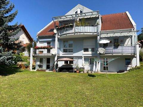 Friesenheim Wohnungen, Friesenheim Wohnung kaufen