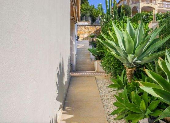 Screenshot 2024-08-16 at 13.04.53