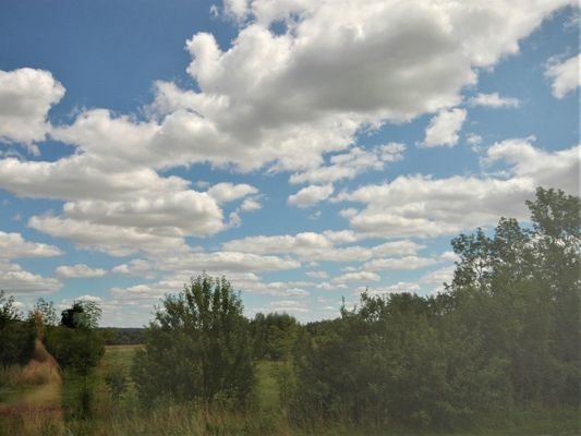 0097-0010 Ausblick aus der Küche