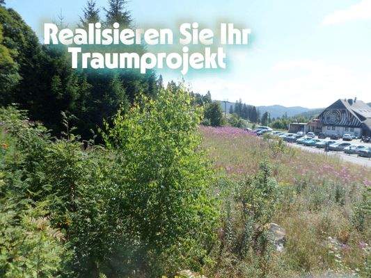 Impressionen vom Grundstück