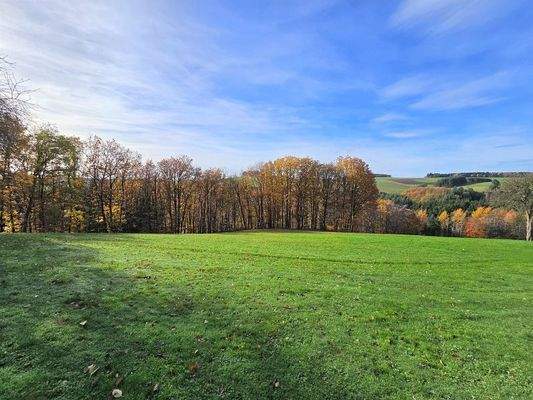 Blick auf das Grundstück 2