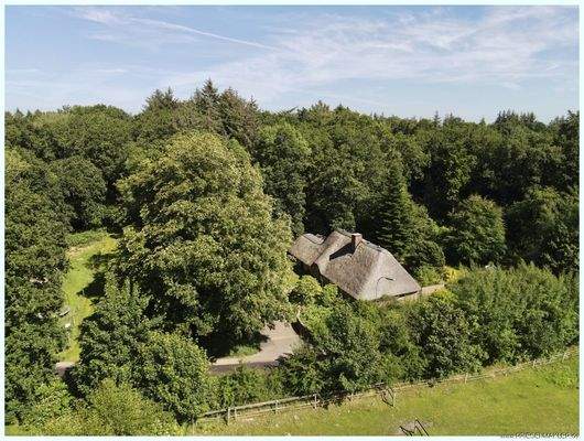 dji_fly_20250630_161044_524_1751292669854_photo