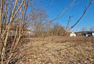 Neustadt  Grundstück.jpg