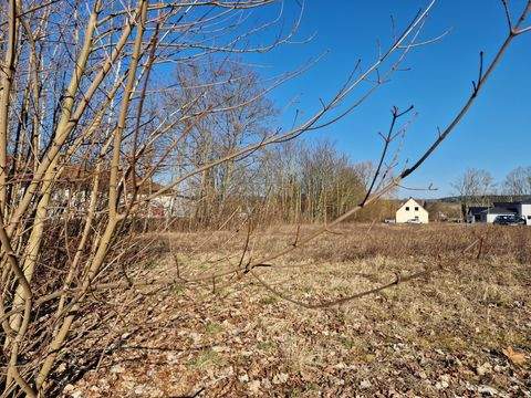 Neustadt an der Orla Grundstücke, Neustadt an der Orla Grundstück kaufen