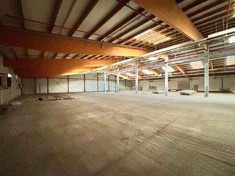 Stadtlohn Halle, Stadtlohn Hallenfläche