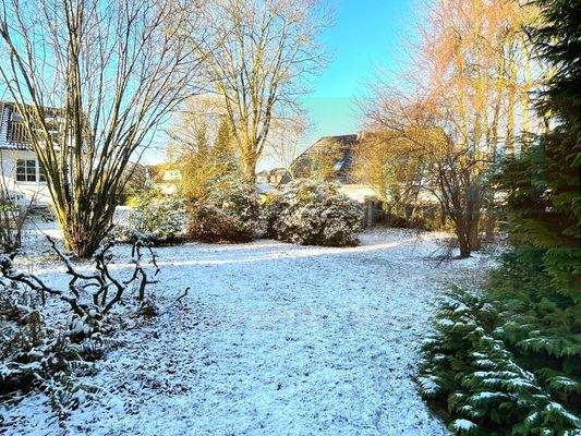 Blick in den Garten hinten