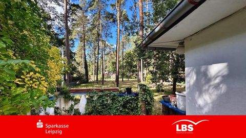 Zschepplin Häuser, Zschepplin Haus kaufen