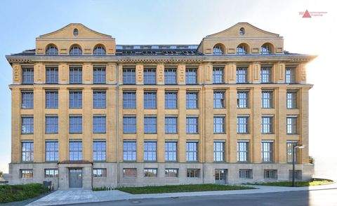 Zwönitz Halle, Zwönitz Hallenfläche