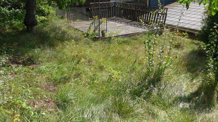 Terrasse 2 und Garten