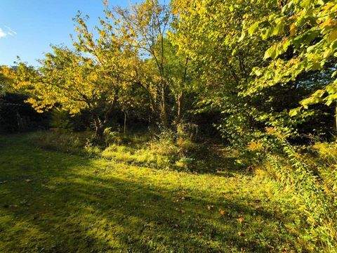 Melchow Grundstücke, Melchow Grundstück kaufen
