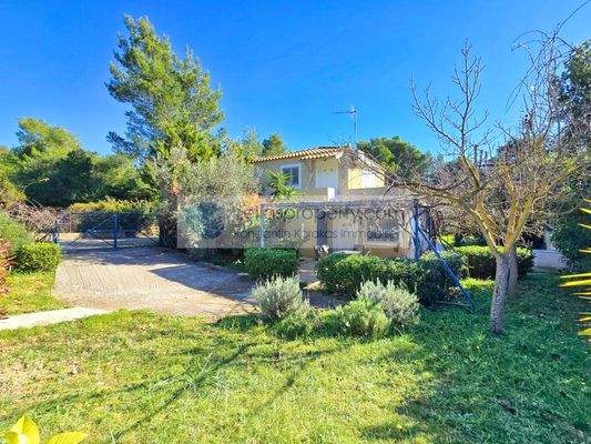 4133c94013d943a59042c2a52432f786-original