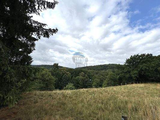 Blick Richtung Süden