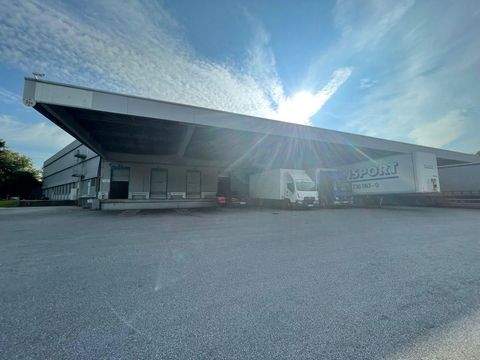 Bochum Halle, Bochum Hallenfläche