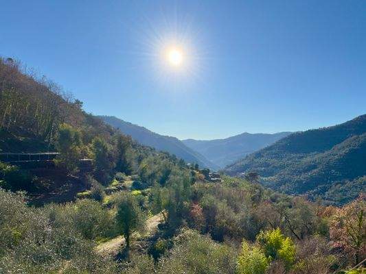 IB951_12 TERRA ITALIA IMMOBILIEN_LIGURIEN_ISOLABON