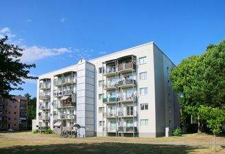 großzügige Außenanlagen