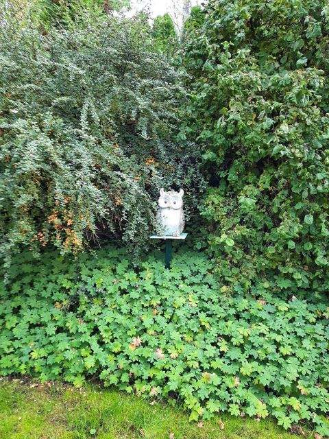 Würzburg Grundstücke, Würzburg Grundstück kaufen