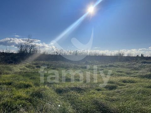 Liznjan Bauernhöfe, Landwirtschaft, Liznjan Forstwirtschaft