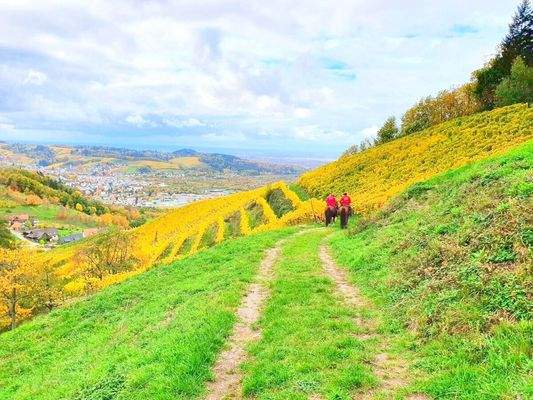 Wunderschöne Umgebung