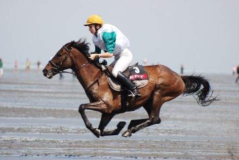 Reiten auf dem Meeresboden.jpg