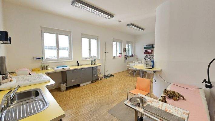Büro/Praxis - kaufen -  Spittal