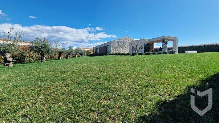 GRUNDSTÜCK/OLIVENBÄUME