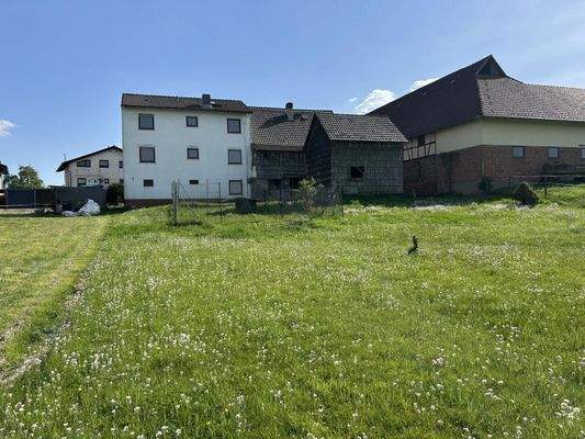 Sonniger großer Garten