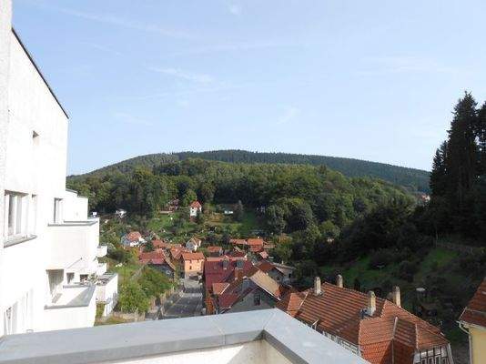 Blick vom Balkon
