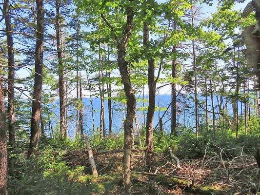 Cape Breton - Roberta - Einzigartiges 79-Hektar-Ar