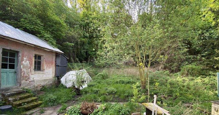 Blick ins Grundstück