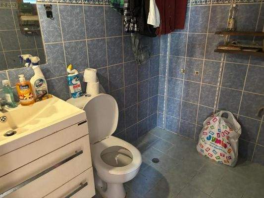 Ostkreta, Pappagiannades: Traditionelles Steinhaus mit großem Garten voller Olivenbäume zu verkaufen