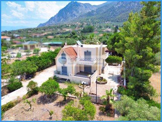 e1ad4920dcf14d7c95ca48ef32d944fe-original