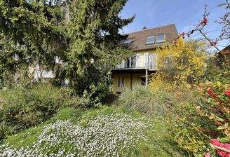 Ansicht Garten Haus