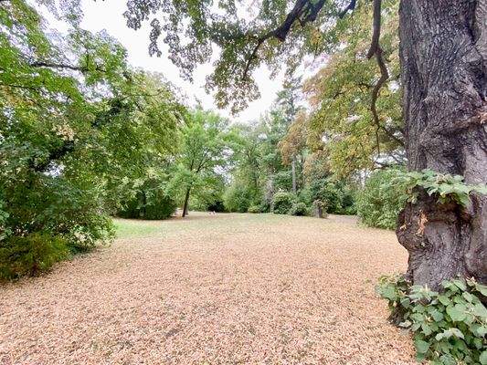 herrliche Lage in unmittelbarer Nähe des Parks