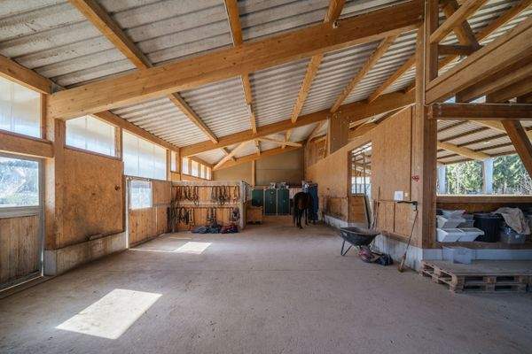 Putz- und Sattelbereich