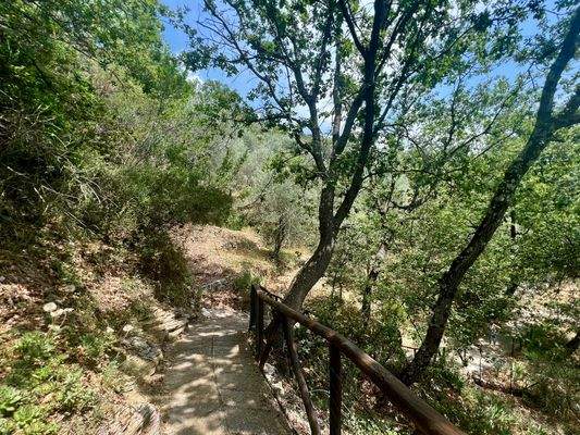 AP915_26 TERRA ITALIA IMMOBILIEN_LIGURIEN_APRICALE