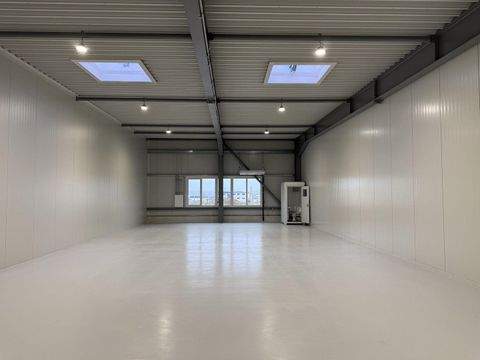 Andernach Halle, Andernach Hallenfläche