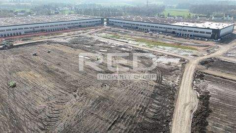 Dortmund Halle, Dortmund Hallenfläche