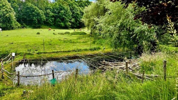 Blick auf die  Umgebung