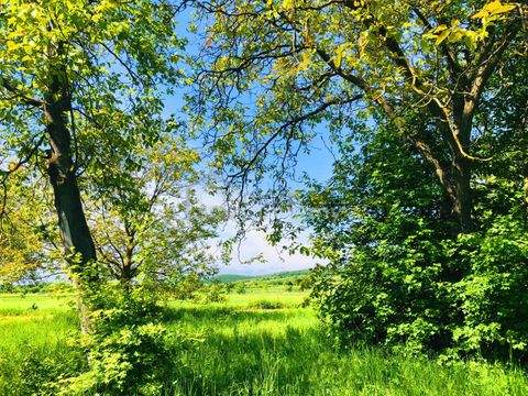 Breitenbrunn am Neusiedler See Grundstücke, Breitenbrunn am Neusiedler See Grundstück kaufen