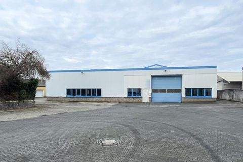 Weeze Halle, Weeze Hallenfläche