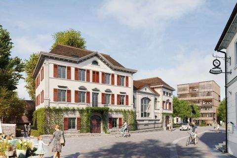 Hohenems Ladenlokale, Ladenflächen 