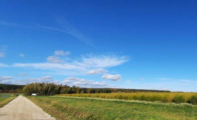 Sommer in Oberreichenbach