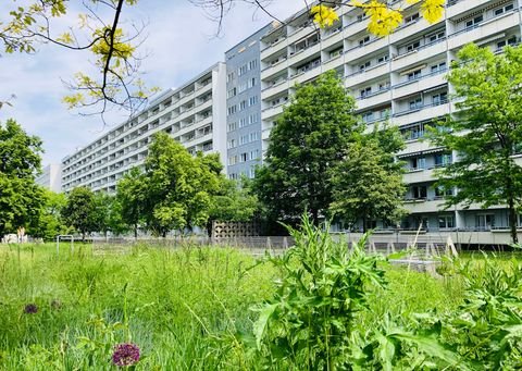 Halle (Saale) Wohnungen, Halle (Saale) Wohnung mieten