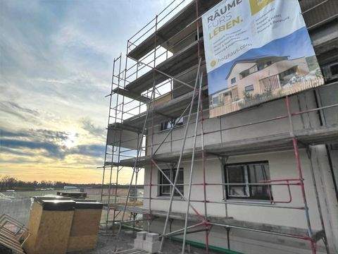 Binzen Wohnungen, Binzen Wohnung mieten