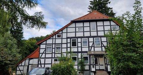 Salzhemmendorf Häuser, Salzhemmendorf Haus kaufen