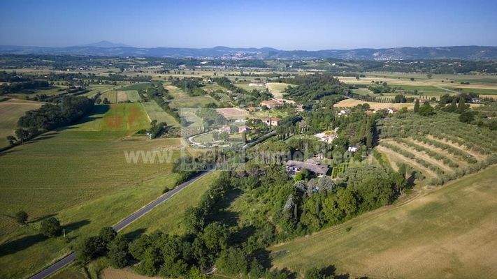 Villa-Toskana-Urlaub-Ferienhaus-Ferienwohnung-Traum-Oliven-Wein-Florenz-Siena-Assisi-Ruhe-Haus-Einfamilienhaus