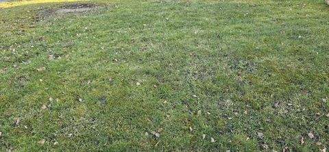 Sondelfingen Häuser, Sondelfingen Haus kaufen